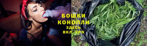 дурь Алексеевка