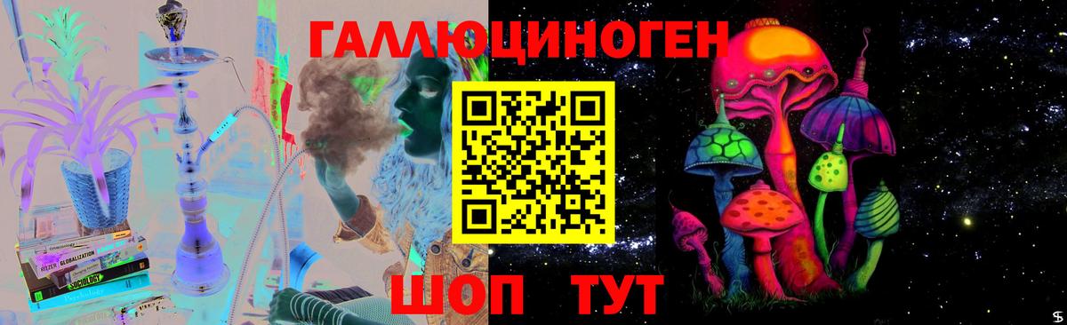 Галлюциногенные грибы Psilocybine cubensis  Вход с VPN  Галлюциногенные грибы прущие грибы  Краснознаменск 